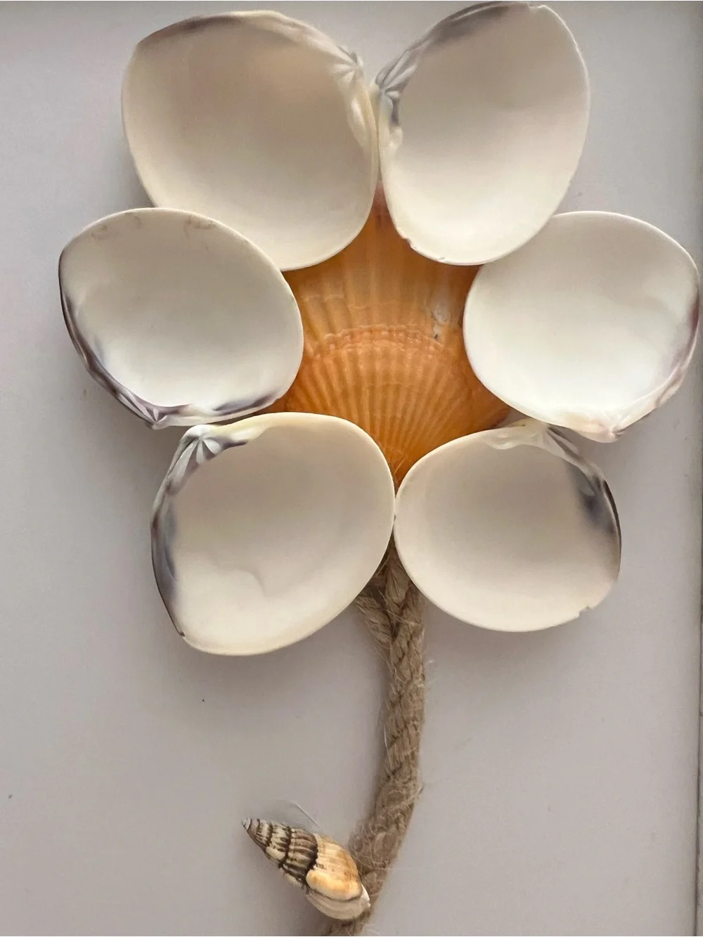 Handmade Seashell Flower Art in White Distressed Frame